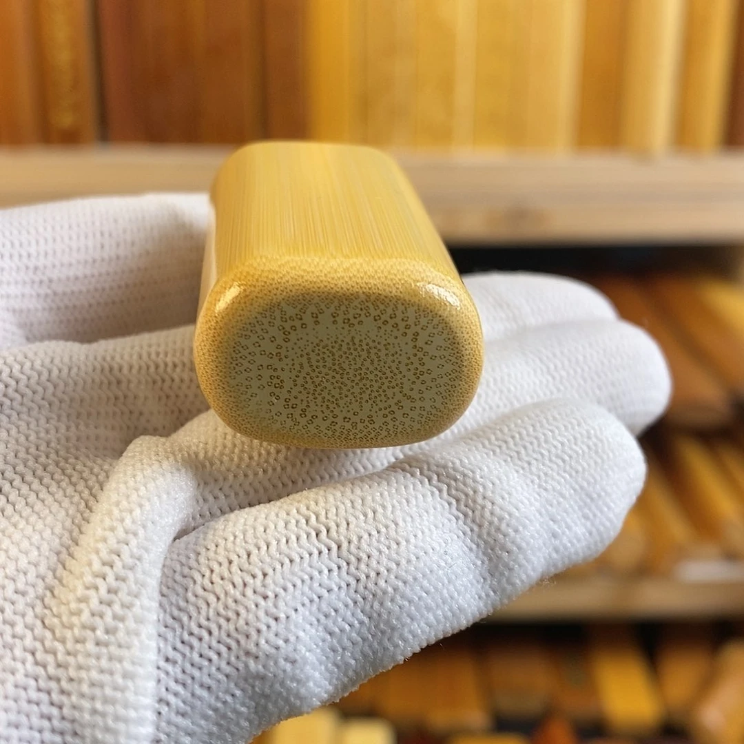 竹实心玉竹 一物一图