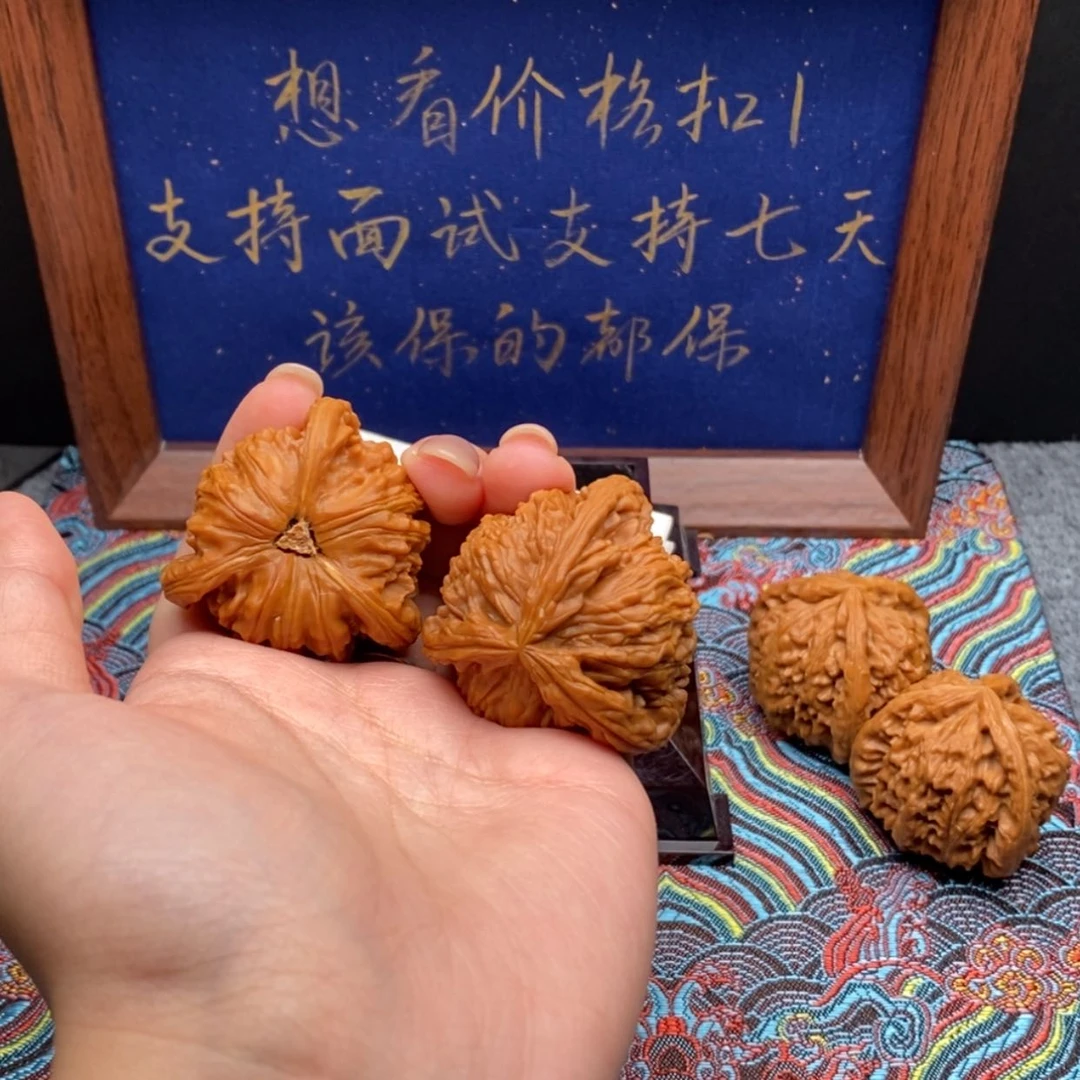 【闪购商品】M*来白狮