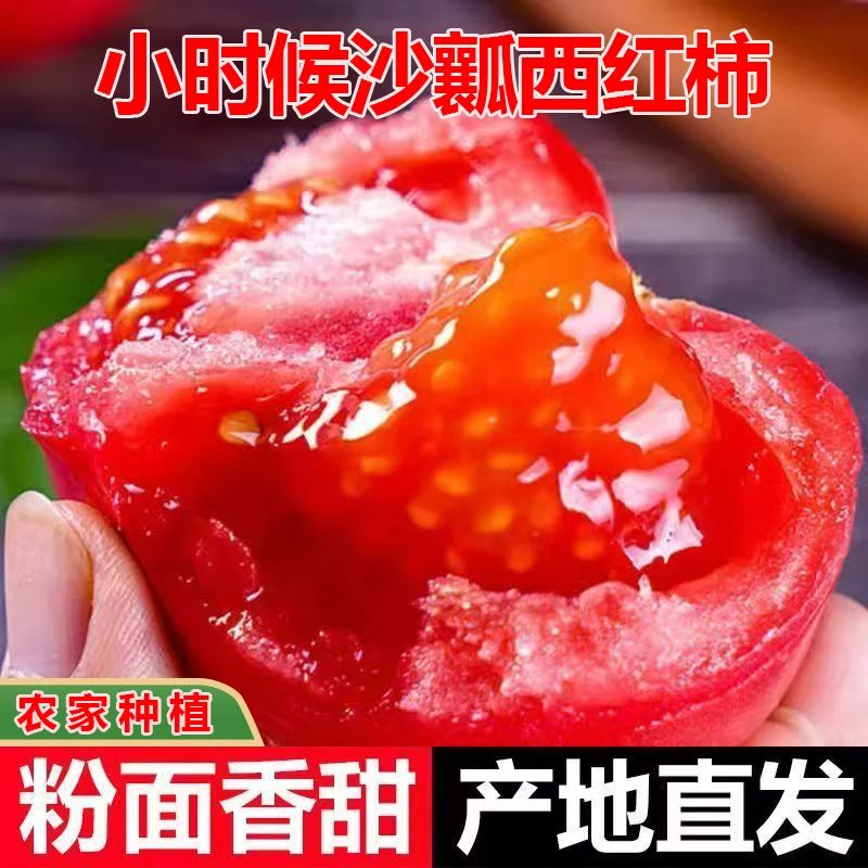 陕西泾阳正宗普罗旺斯沙瓤水果西红柿新鲜3/5斤自然熟草莓心番茄