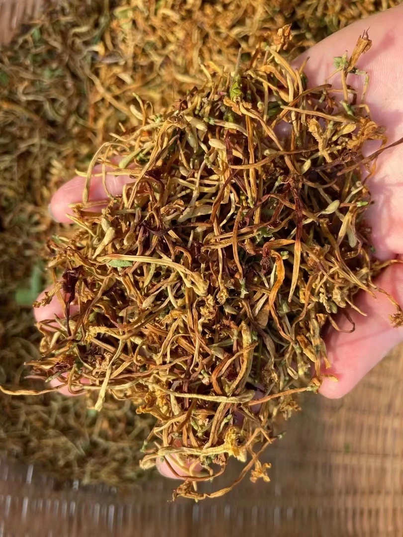 封开农家自晒野生金银花干货