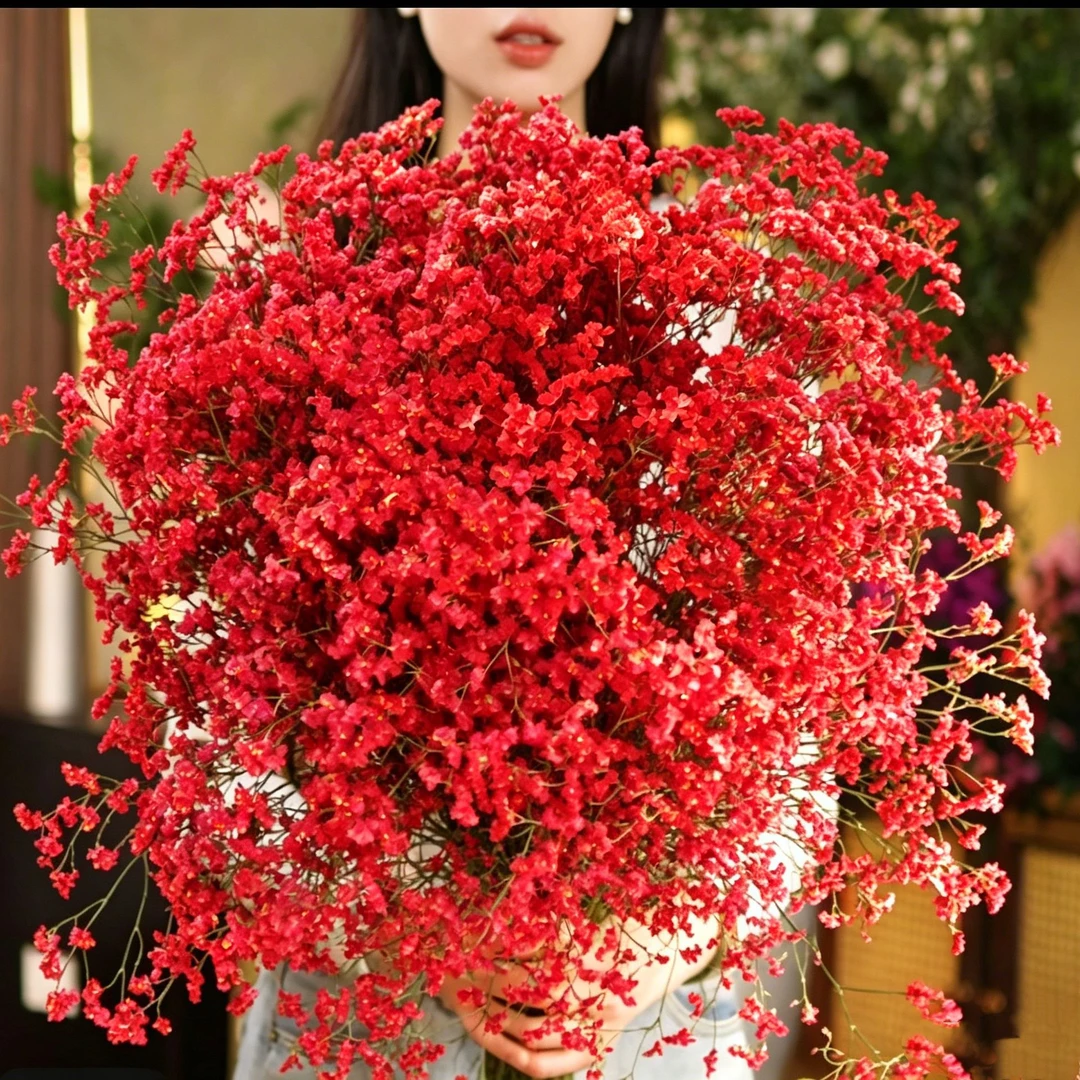 【买一扎送一扎】红色永生水晶花长花期氛围鲜切花好养护干花满天星