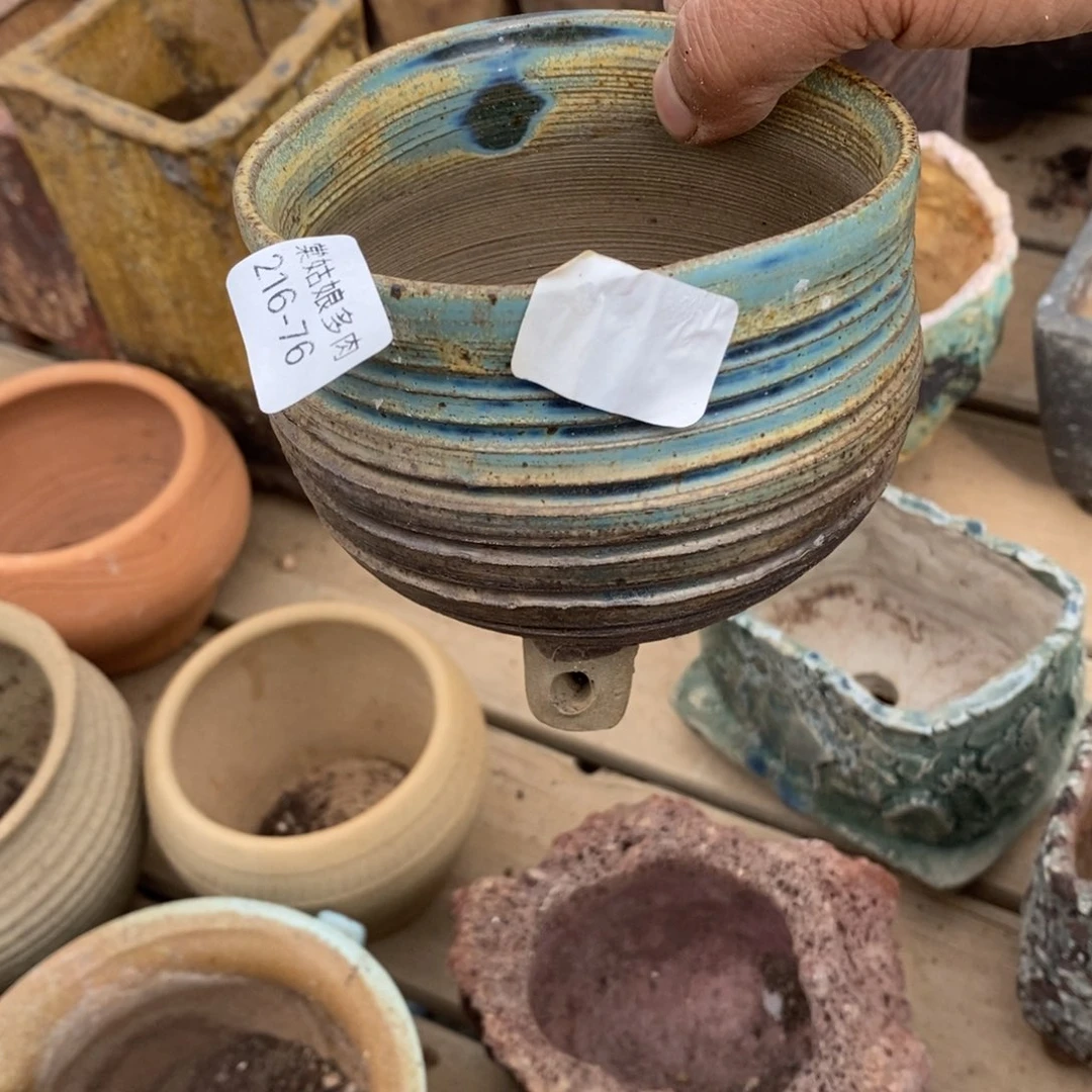 红陶༻****༺76号多肉盆一个呀