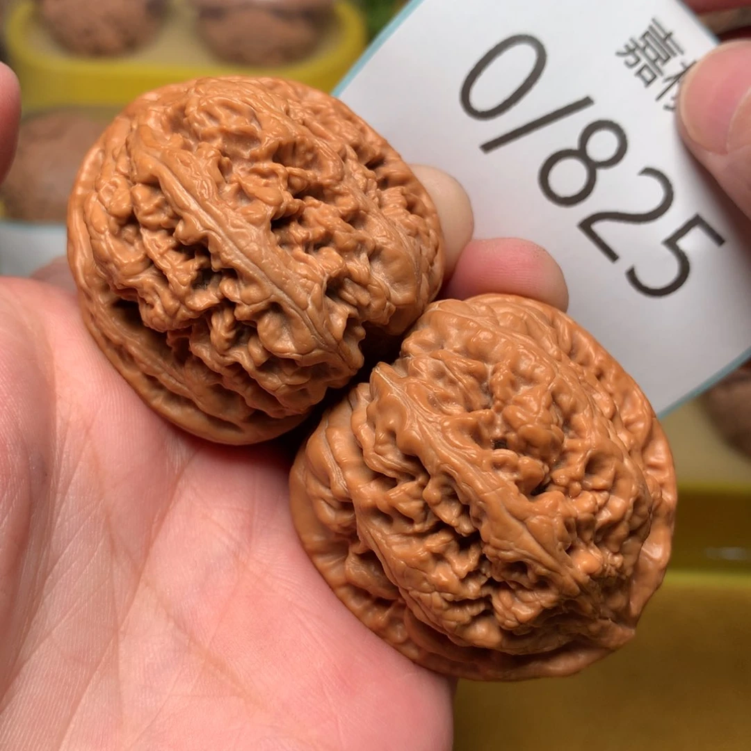 文玩核桃把件肉球粗筋40