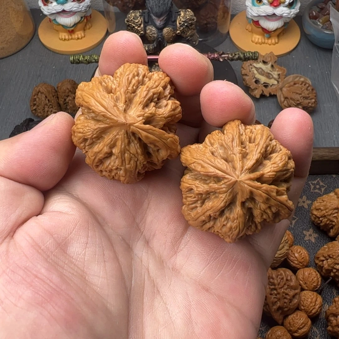 43平谷大粗筋全品