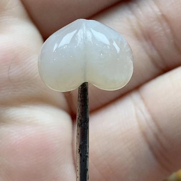 颈饰未镶嵌硅化珊瑚（珊瑚玉）小