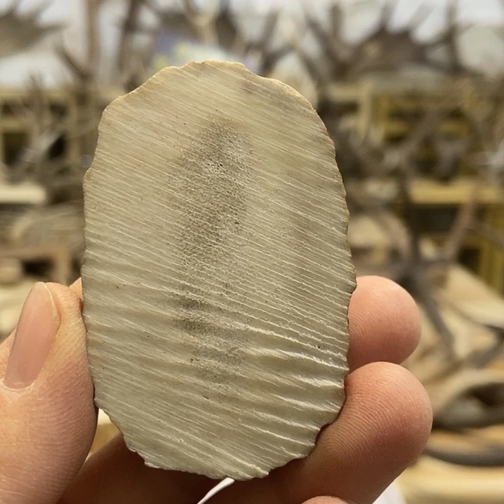 六***爸大叶紫檀（黑酸枝木类）手把件