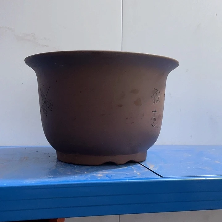 一**善30平角金钟花盆花盆