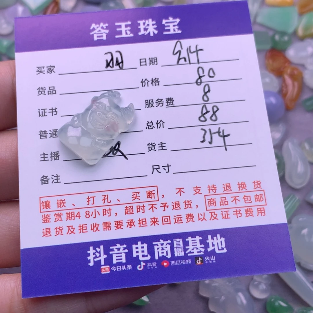 颈饰未镶嵌翡翠～*羽