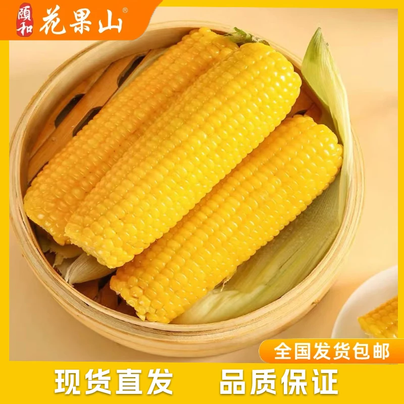 【马老面】东北黄糯玉米香糯粘玉米真空锁鲜包装粗粮代餐