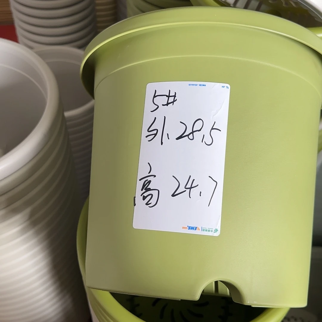 树脂四季5号果绿无托6个微瑕