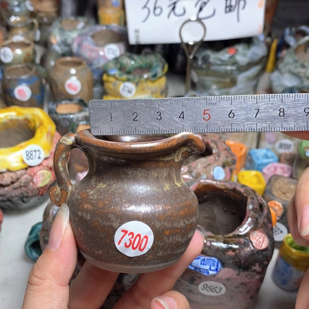 拍5送一个小礼物