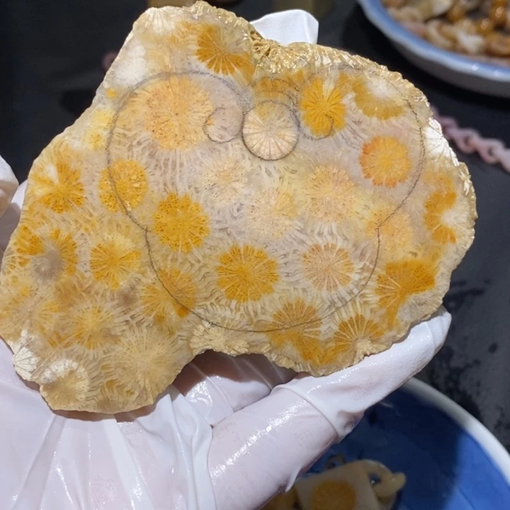 【闪购商品】未镶嵌珊瑚玉硅化玉