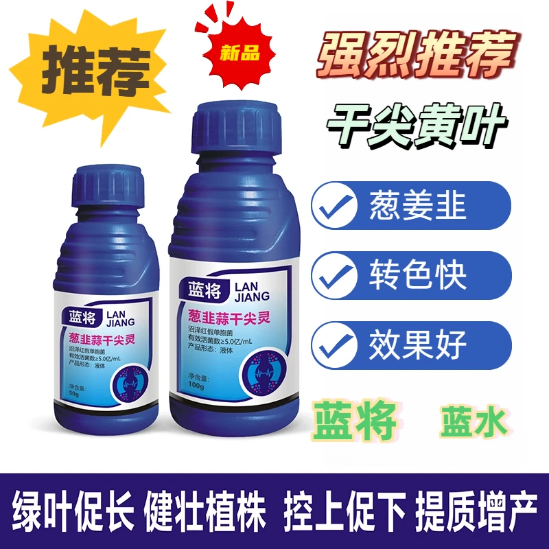 微生物菌剂沼泽红假单胞菌葱姜蒜韭蓝色菌剂葱干尖黄叶专用
