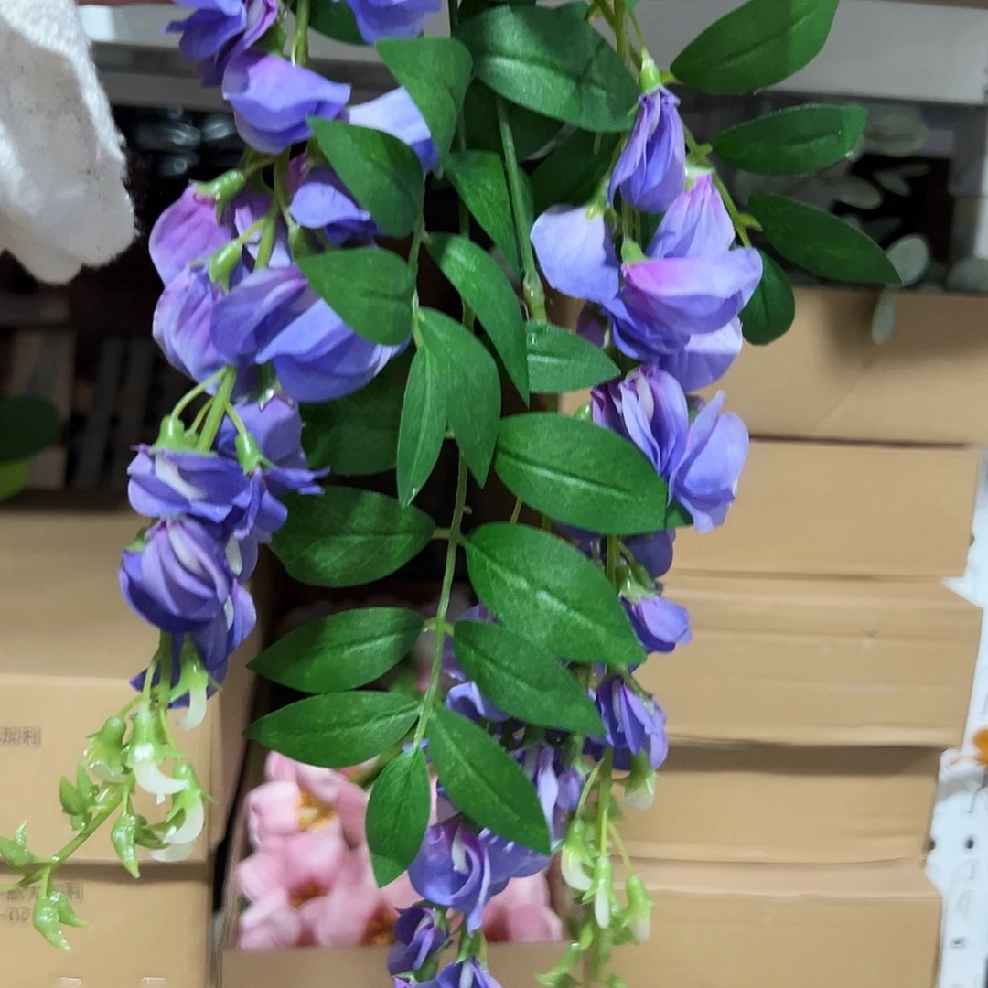 2枝紫色紫藤花花。