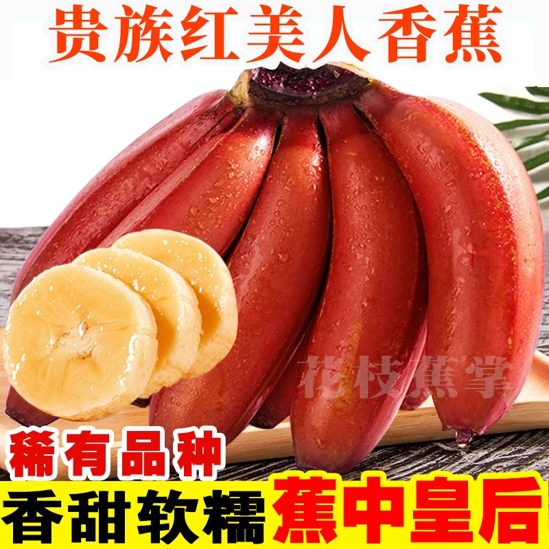 【珍稀水果】广西红美人香蕉美人蕉5斤/3斤/2斤现摘现发新鲜水果二