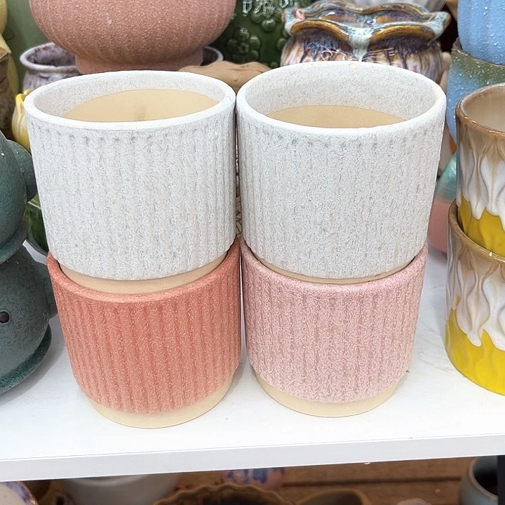 多肉植物花盆9.99包邮