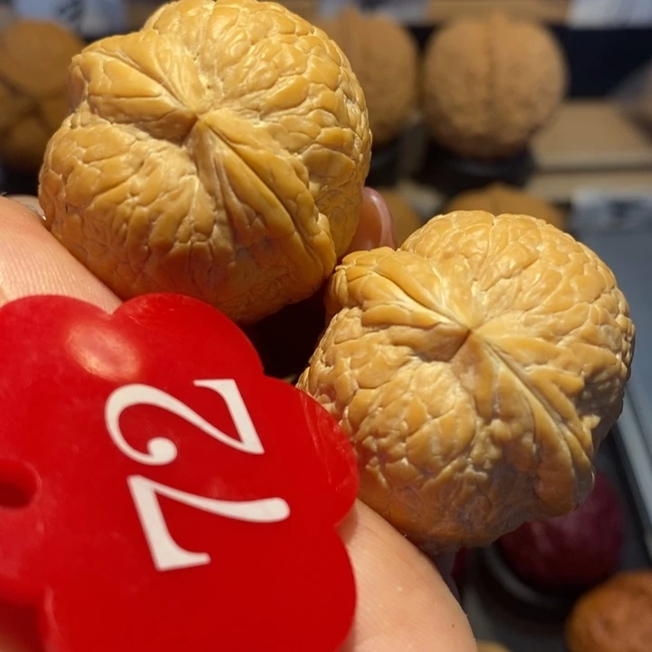 核桃云**心粗筋大西瓜尺寸36