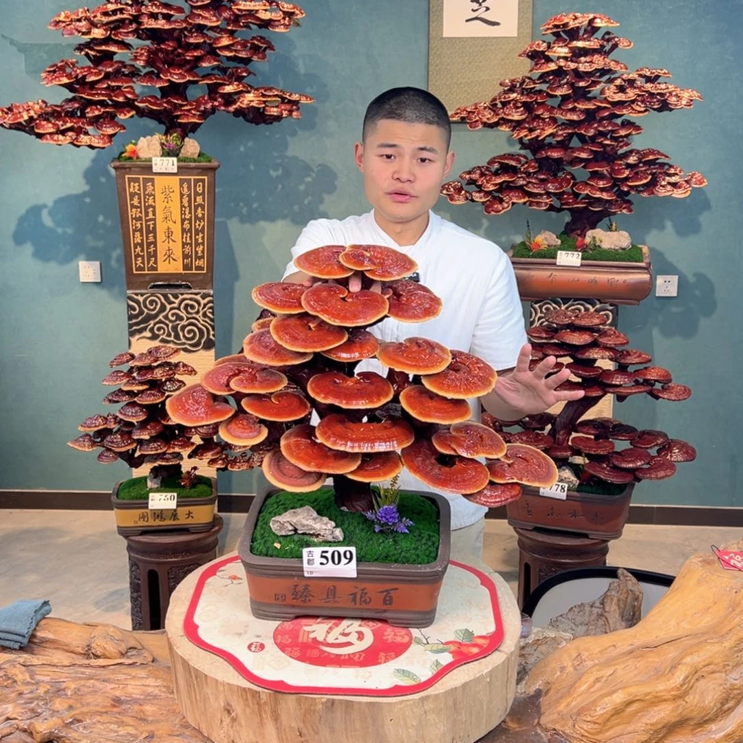 无花朵88888888888