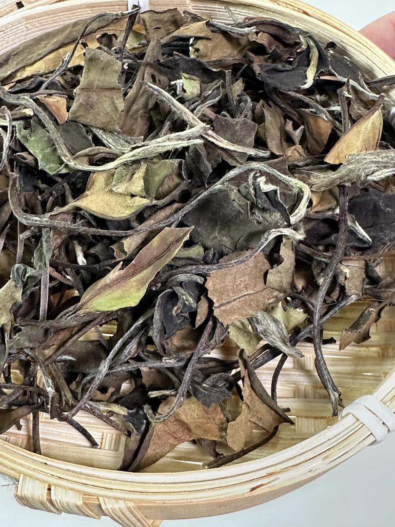2022年福鼎高山老白茶寿眉陈化散茶茶叶3斤装