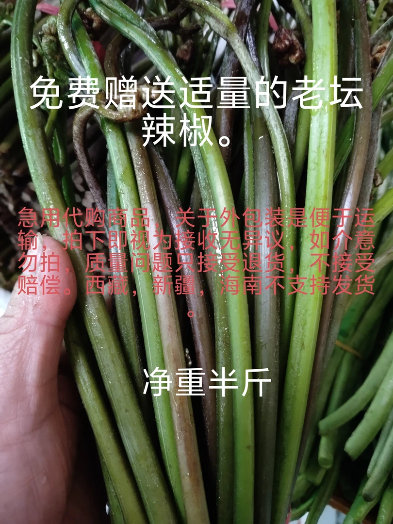 纯天然蕨菜和雷公菌二合一组合，家乡的味道。