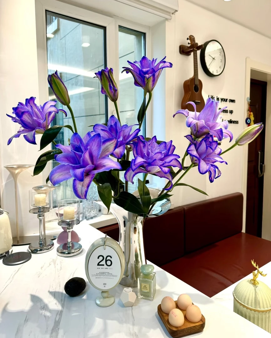 套餐A04  云南  基地  鲜花   水养  家养