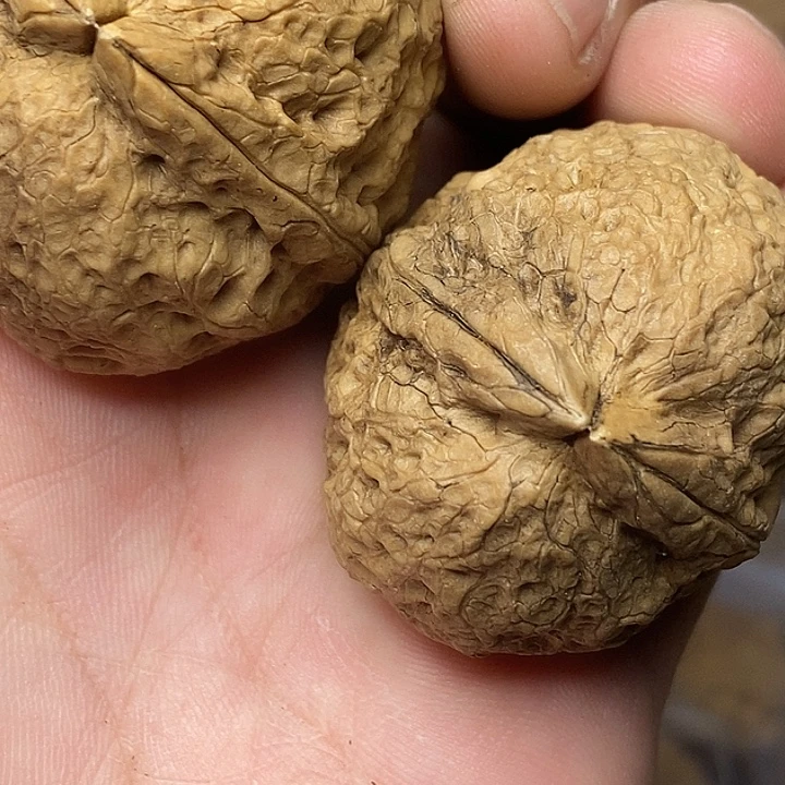 文玩核桃把件志成云铁文玩48