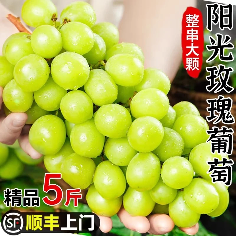 【顺丰】阳光玫瑰葡萄新鲜水果礼盒当季应季脆甜无籽青提现货