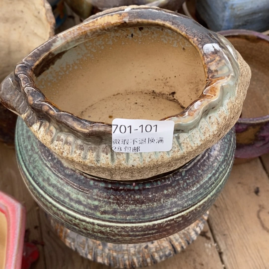 101号花盆内10高6