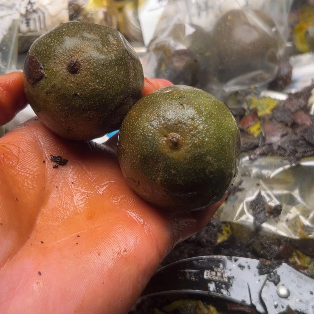 .***Q符合就看看你奶奶个饥渴难耐