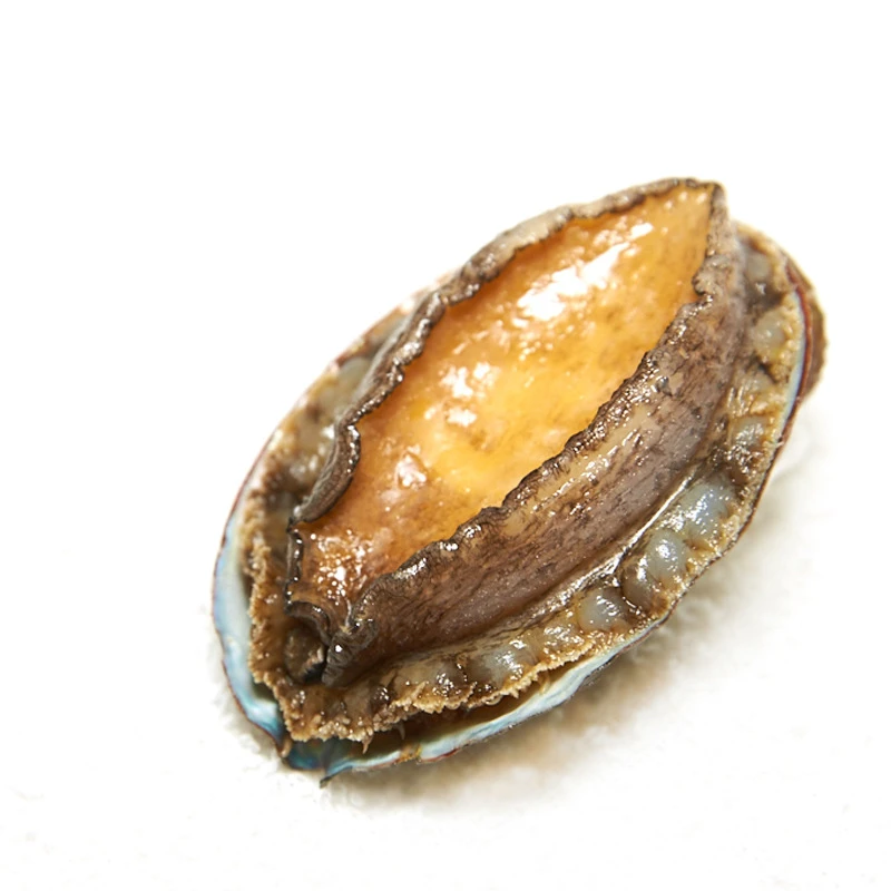 带壳的免处理新鲜冷冻的10头大鲍鱼8粒/袋 发2袋