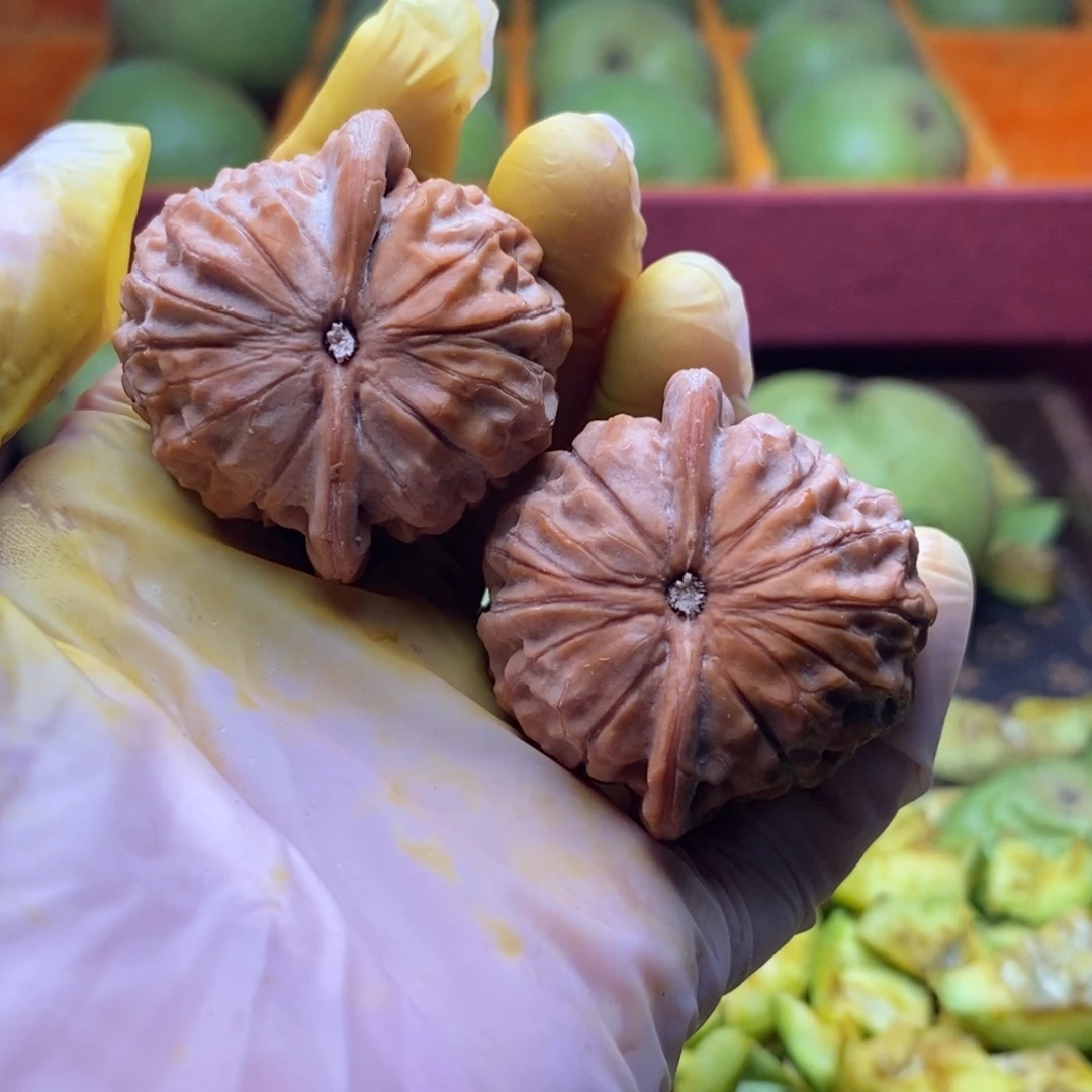 不***人文玩核桃把件石门元宝