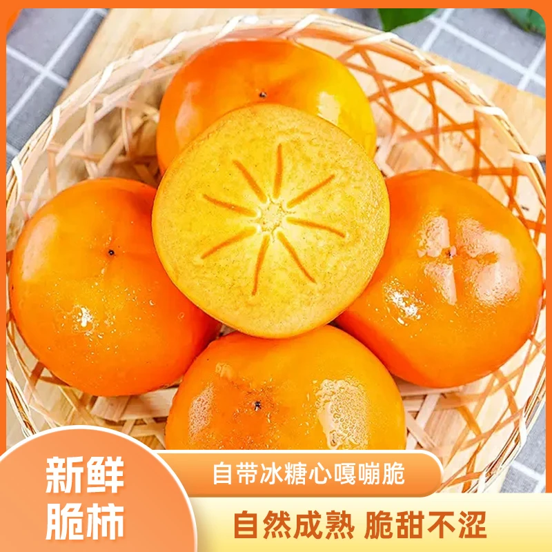 正宗山西脆柿新鲜采摘巧克力脆柿应季水果产地直发整箱包邮