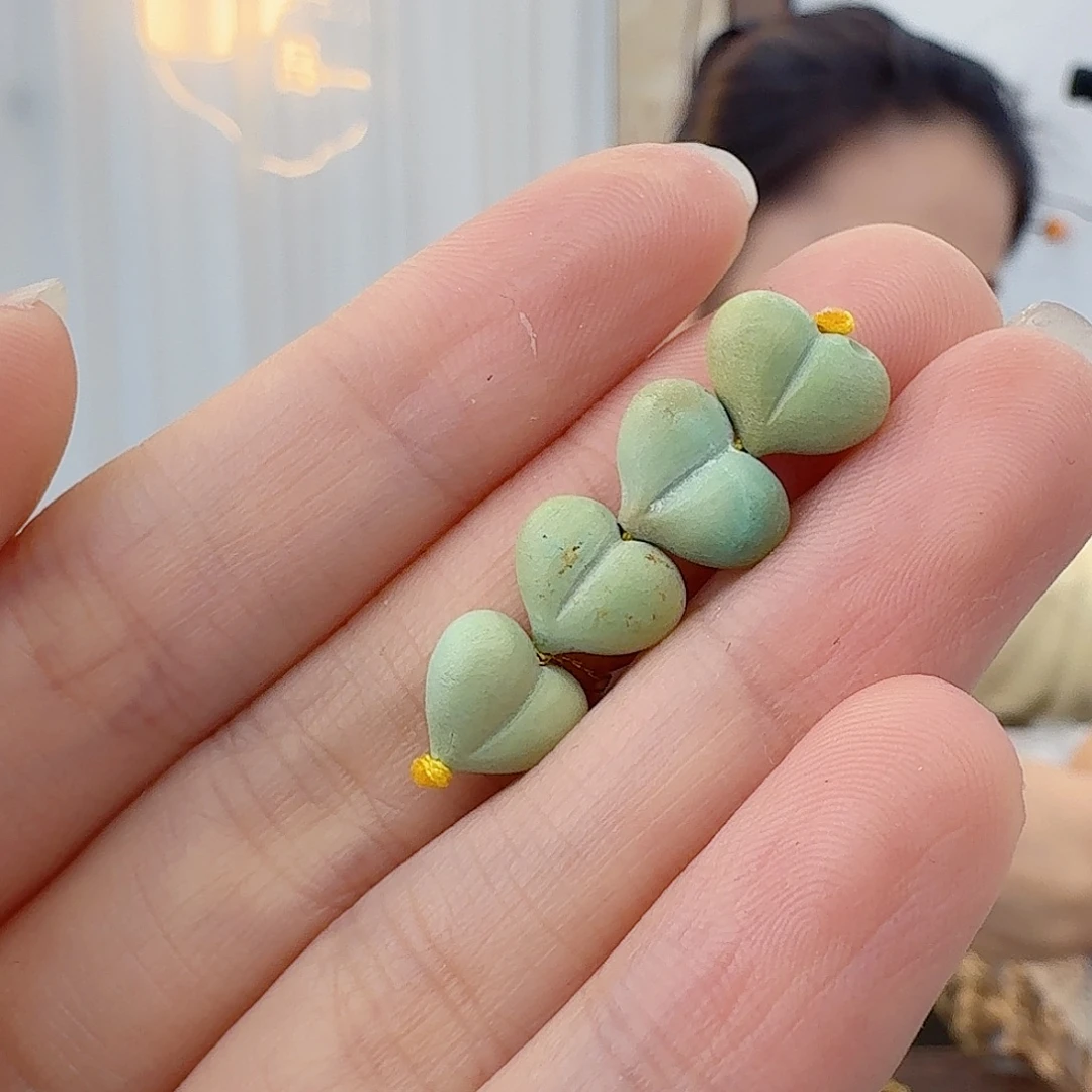 绿松石未镶嵌珠宝半成品