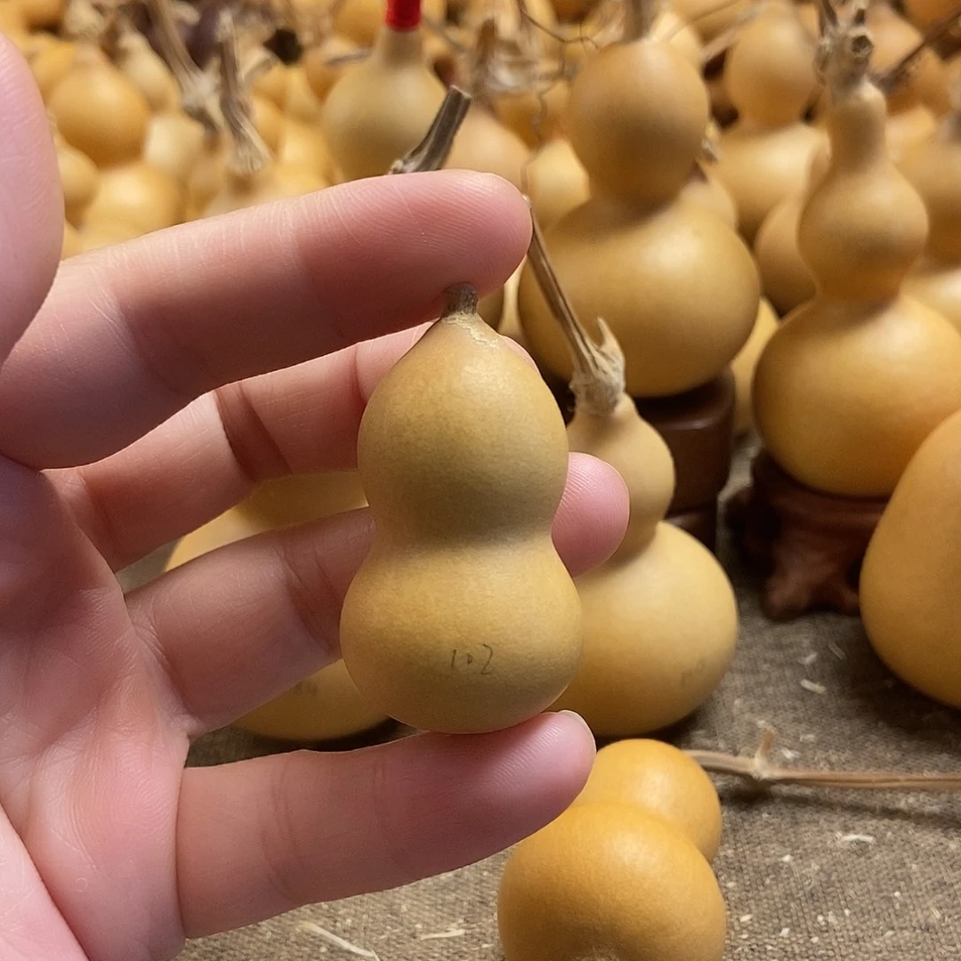 文玩葫芦 完美主义者 慎拍102