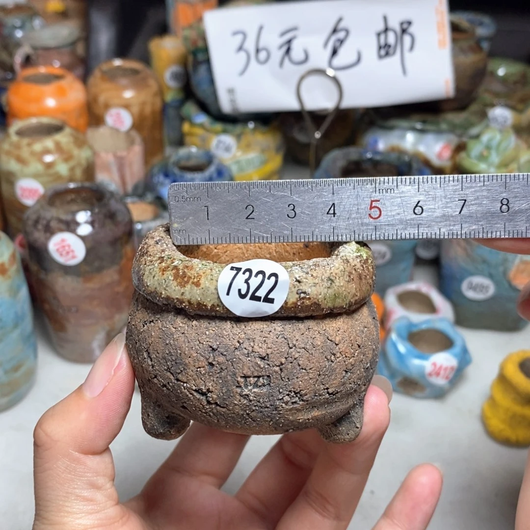 拍3送一个小礼物