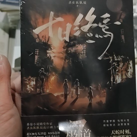 十日终焉极道极道