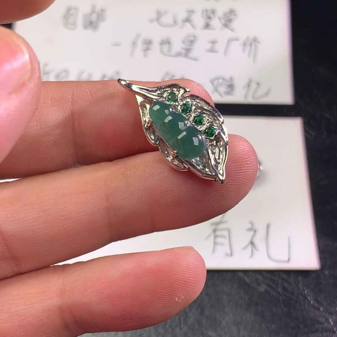翡翠未镶嵌颈饰福豆