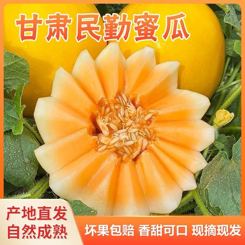 【良周•迹忆】甘肃民勤蜜瓜7-8.5斤 单果1250g 顺丰发货