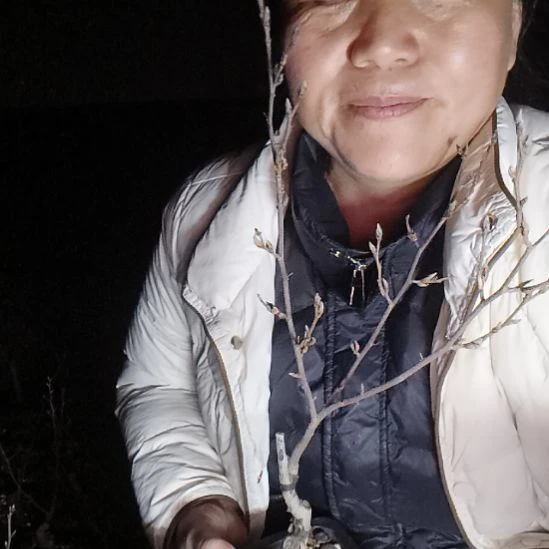 柿***℡无花朵456555688588