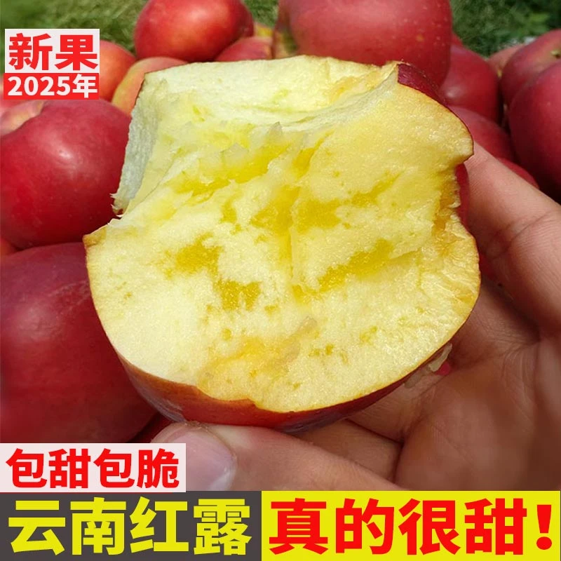 【正宗红露】】产地直发丑冰糖心糖心云南昭通正宗丑苹果
