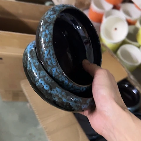 ···2个无孔水仙······