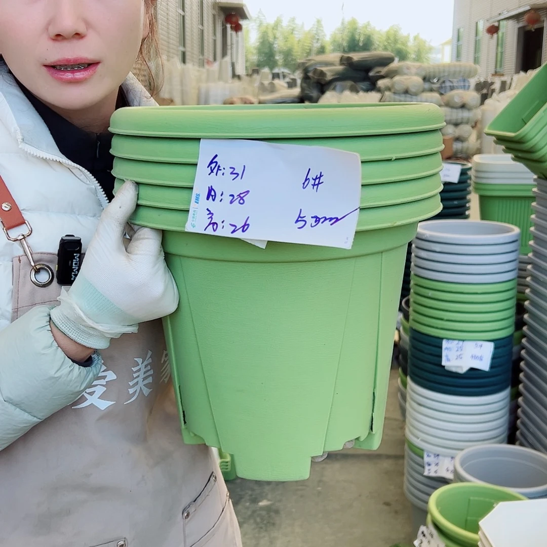 青山盆6#果绿5个无托