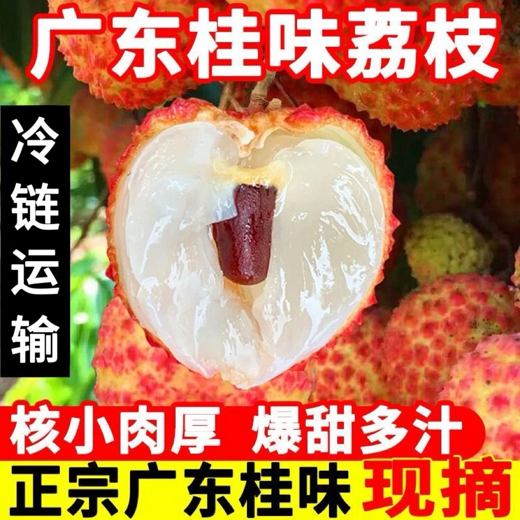 【桂味荔枝】广东正宗桂味荔枝当季现摘现发桂味王荔枝百年老树整箱