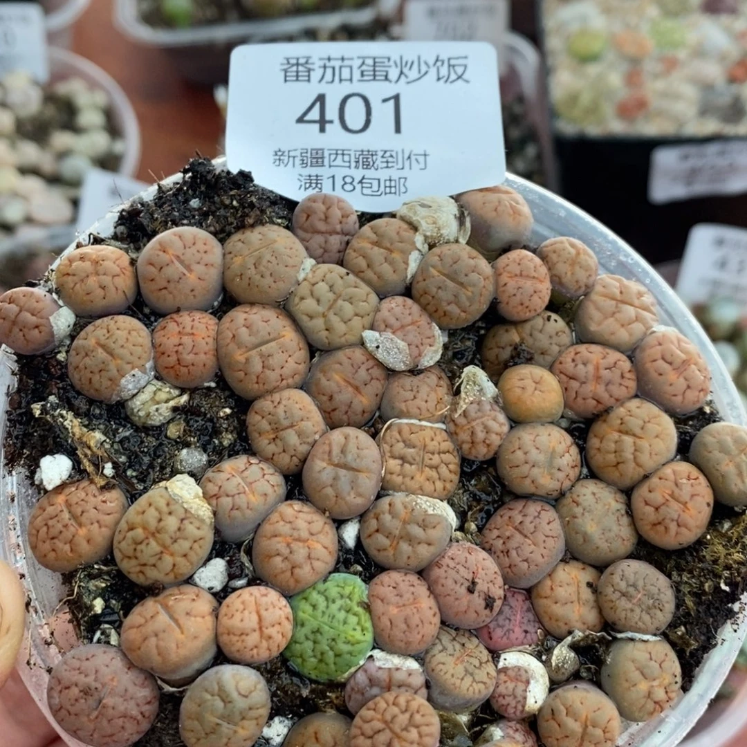 感谢您的支持，00401