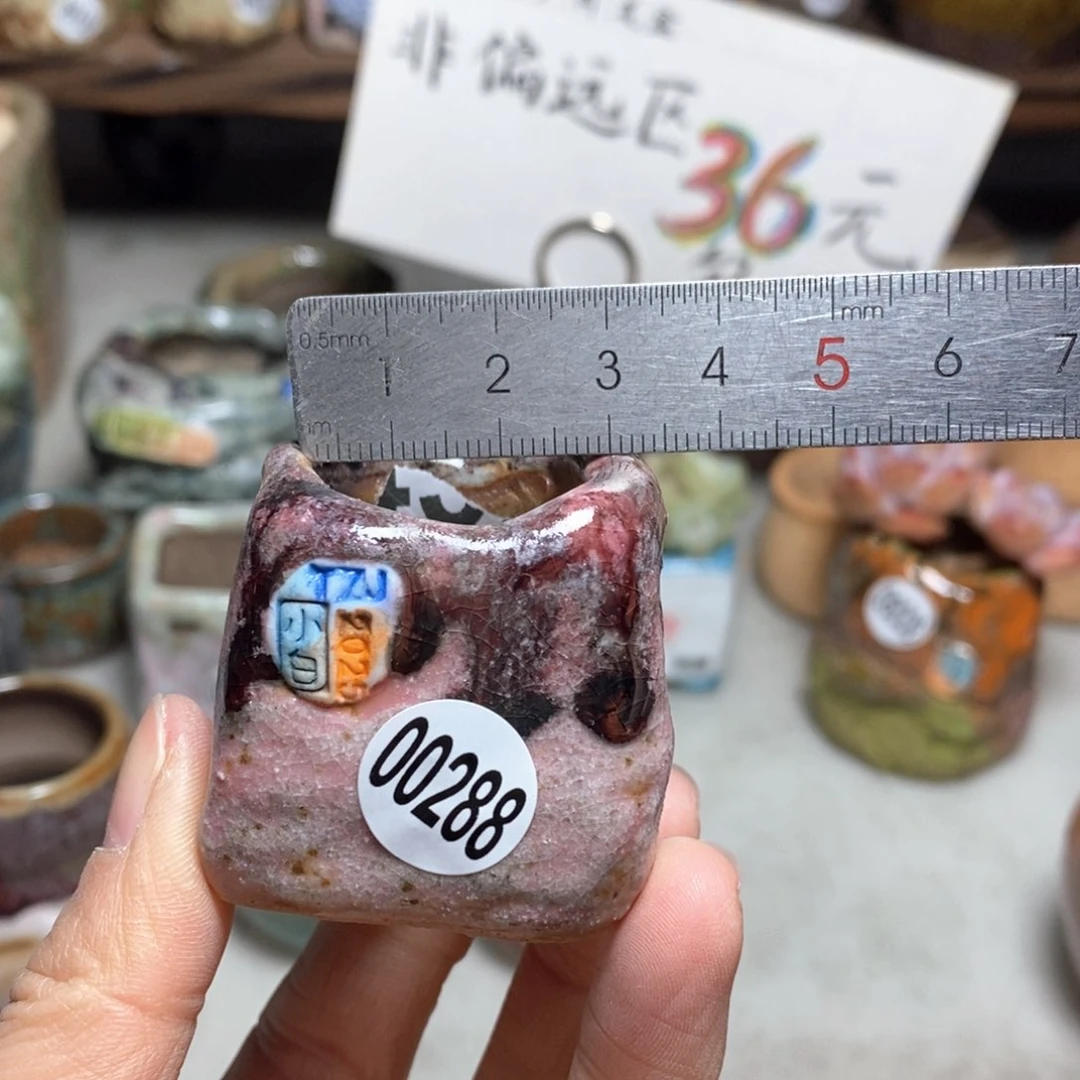 花盆拍3送一个小礼物