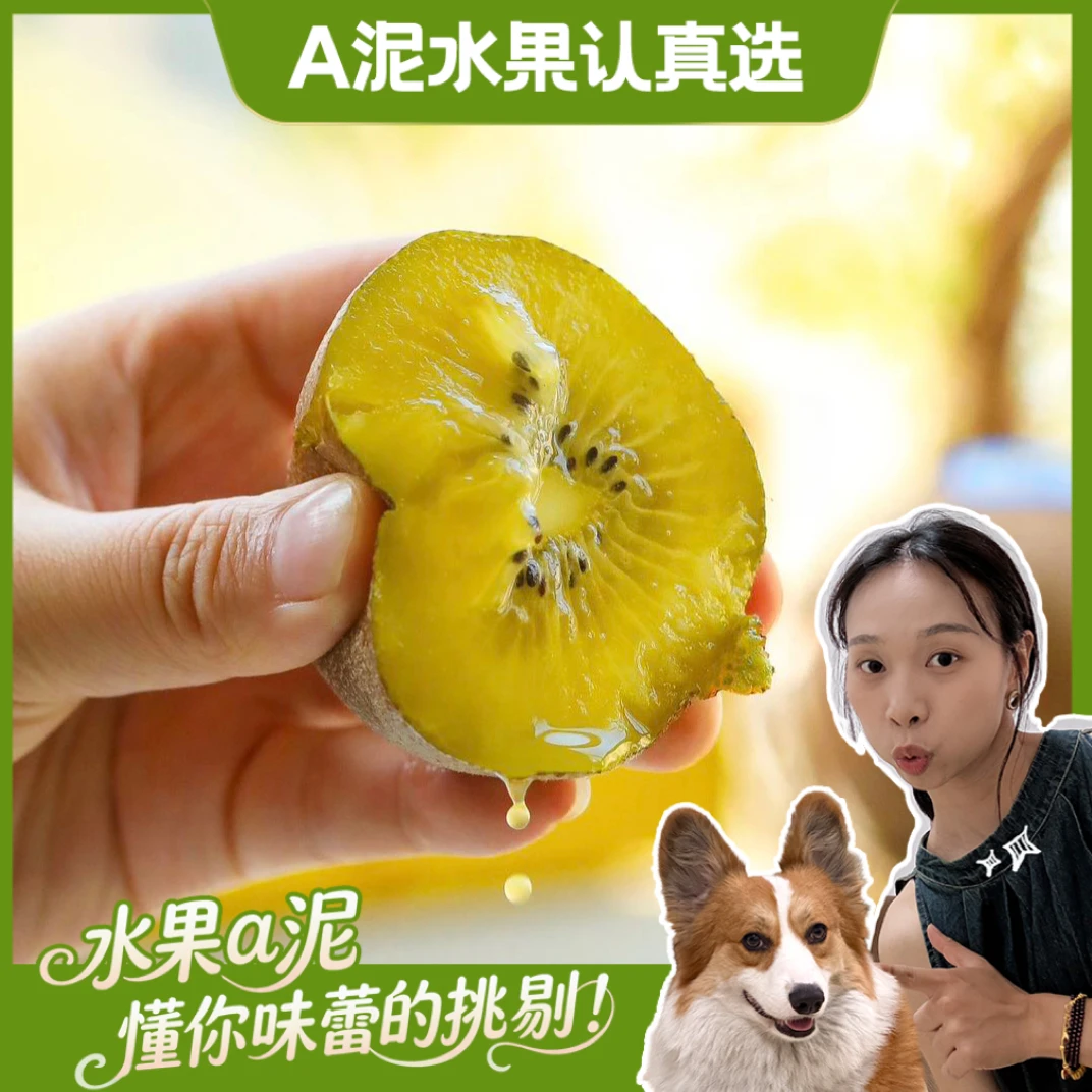 陕西“金蜜”秋弥 黄心猕猴桃3斤精品礼盒装【顺丰包邮+产地直发】