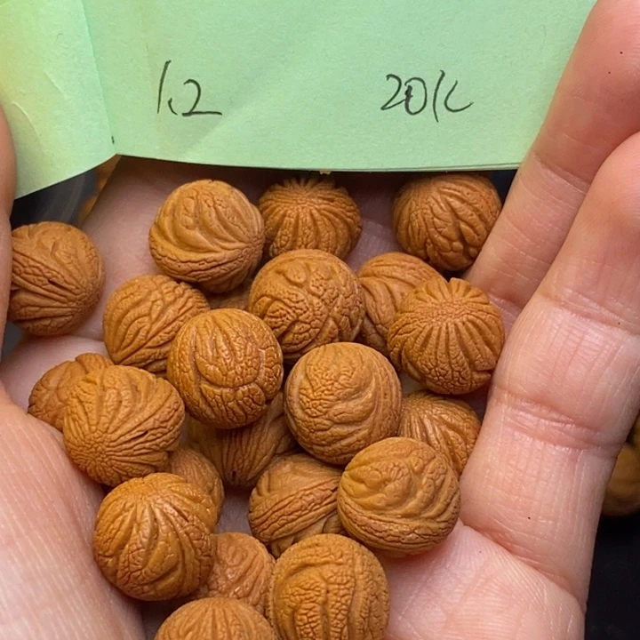 桃核吊坠秦岭龙纹桃核12