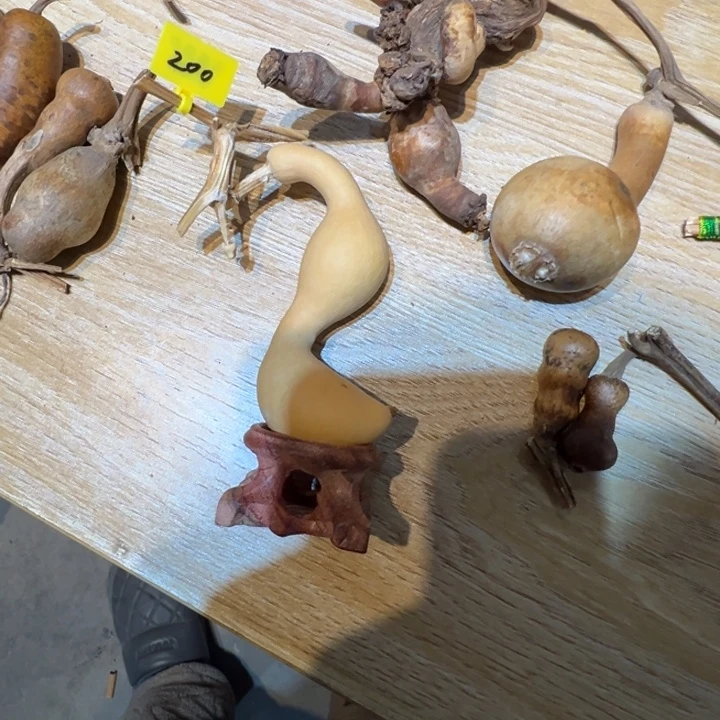 姐***儿葫芦葫芦88888888888