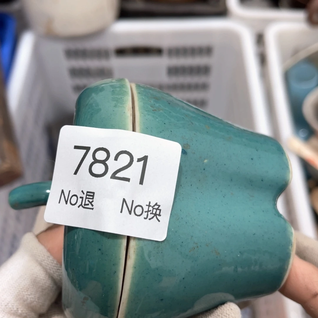 老***张器55667788202509267821