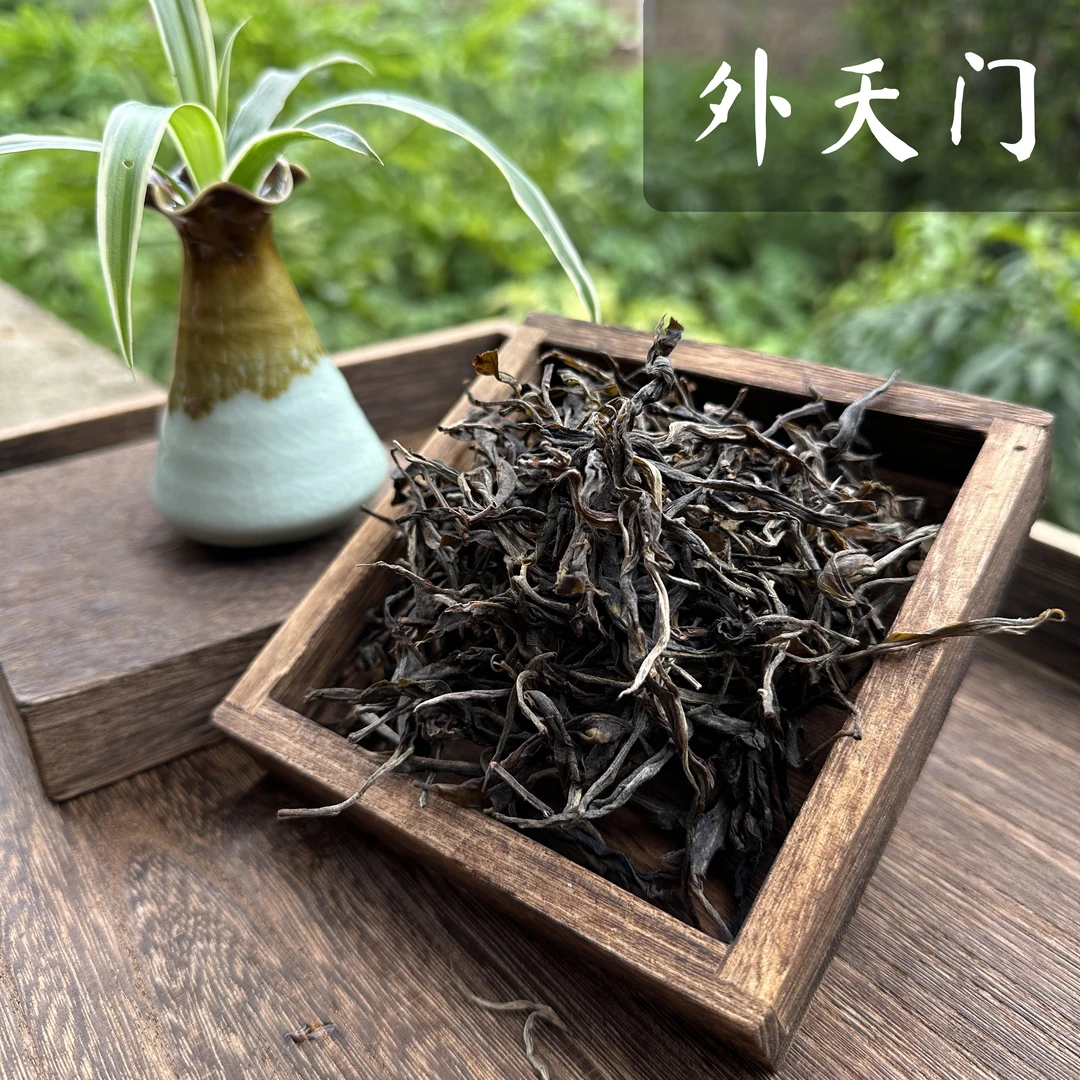 2023外天门古树头春头采普洱茶生茶散茶